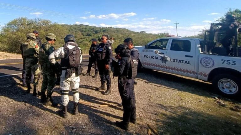 Trabaja gobierno de Sergio Salomón coordinadamente en materia de seguridad con autoridades de Guerrero