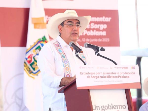 Con entrega de sorgo, Sergio Salomón garantiza seguridad alimentaria en la Mixteca