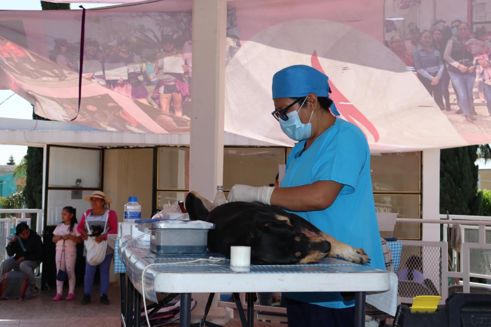 Se realiza campaña de esterilización en el municipio de Ocoyucan