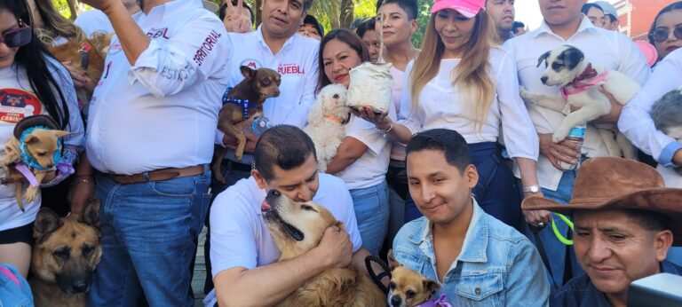 Por Amor a Puebla,Armenta concreta acciones a favor de la vida animal.