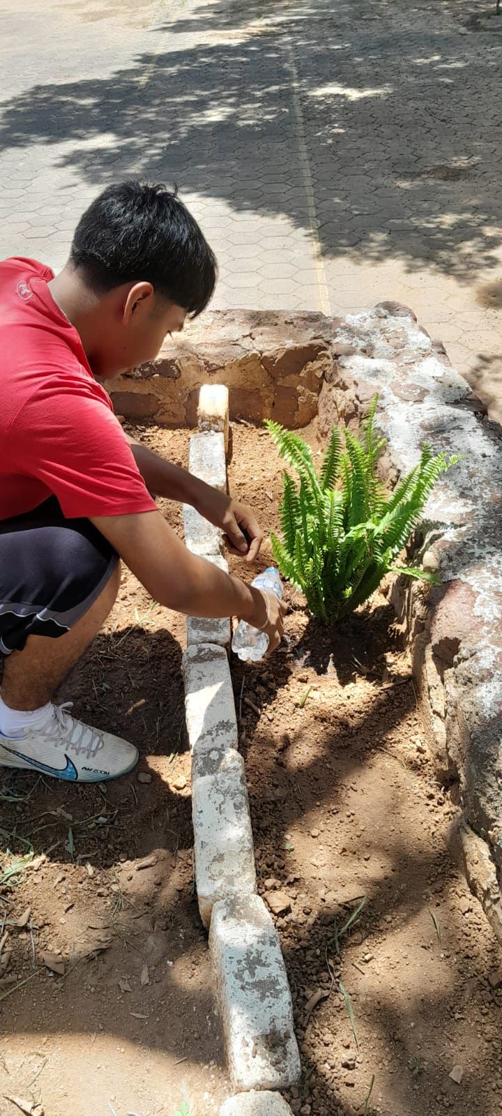 Realiza CBTa de Tecomatlán siembra de árboles