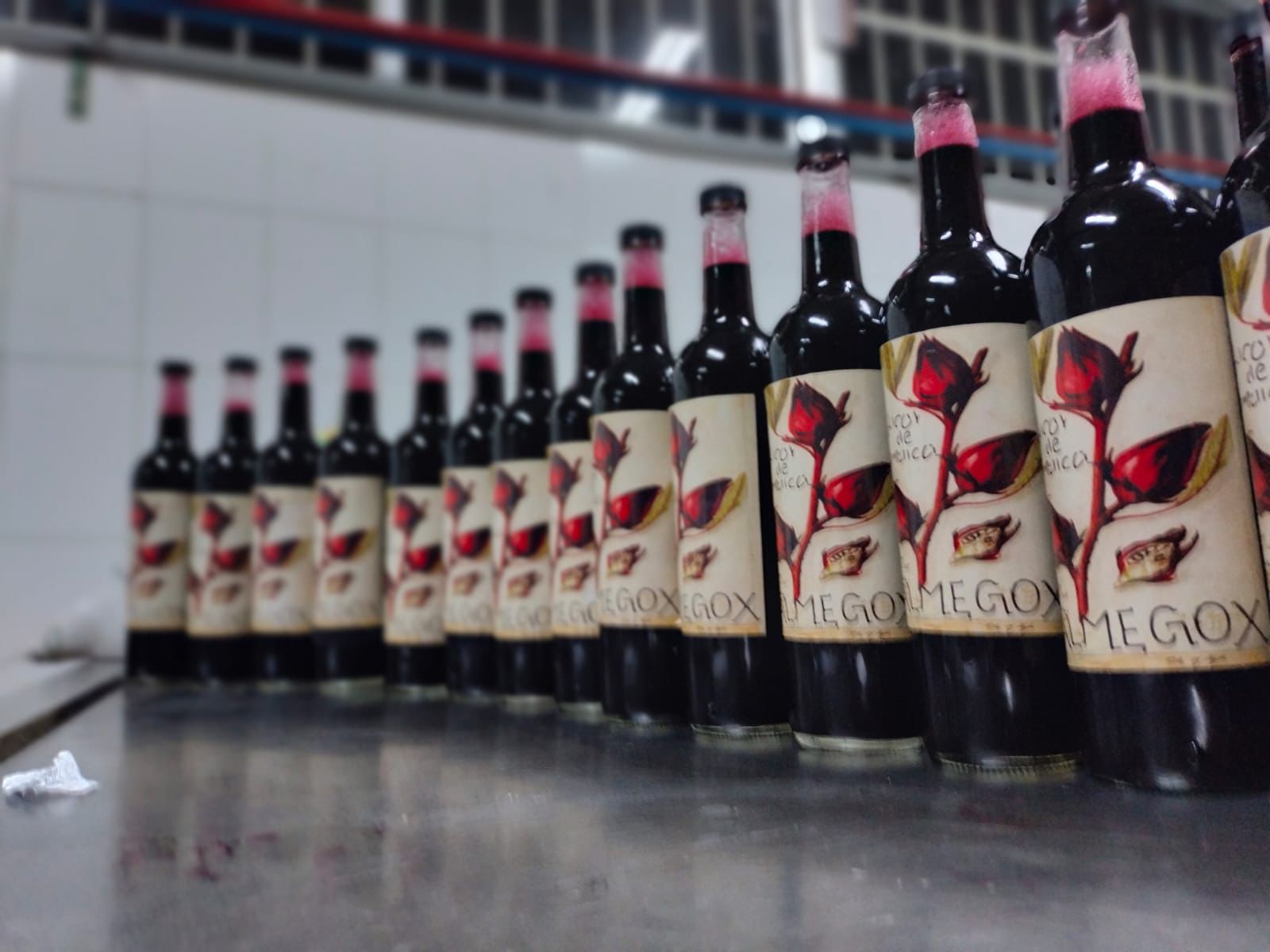 Se preparan en tecnologías jóvenes de Tecomatlán