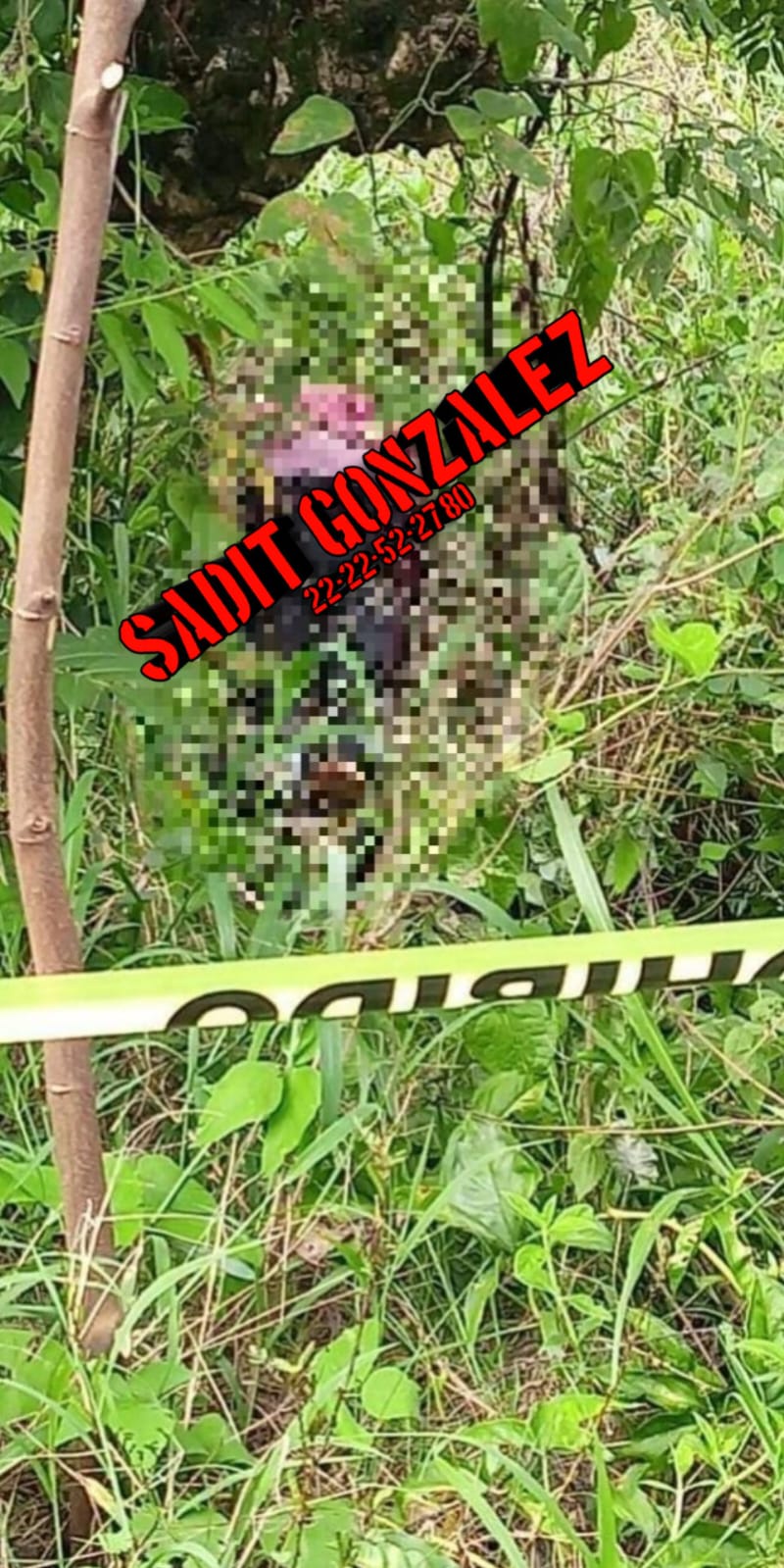 Hallan cadáver de una mujer a orillas de la carretera en el municipio de Jalpan