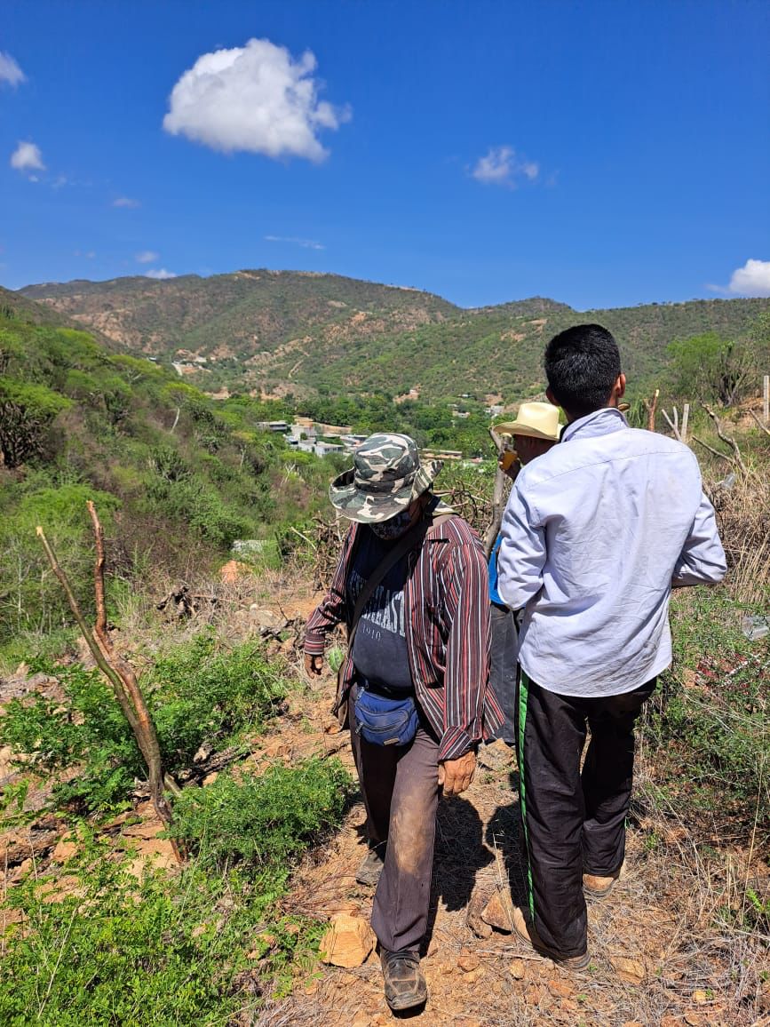 Realizan antorchistas jornadas de mantenimiento de áreas verdes.