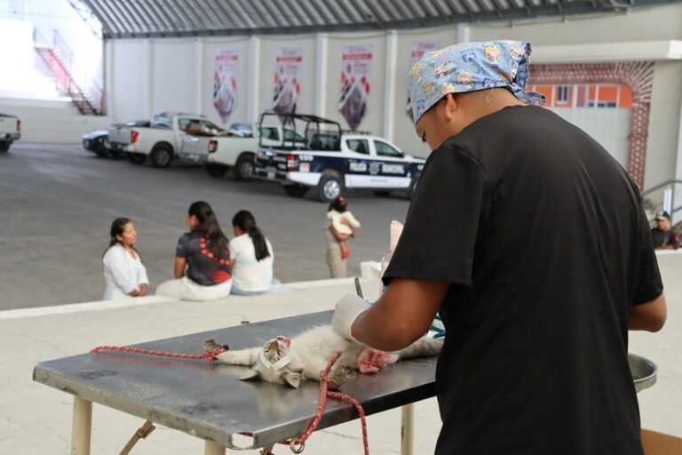 Dirección de salud ofrece diferentes servicios gratuitos a ciudadanos ocoyuquenses