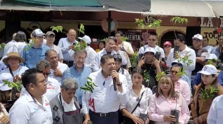 En el mercado la piedad, Armenta entrega 1500 árboles