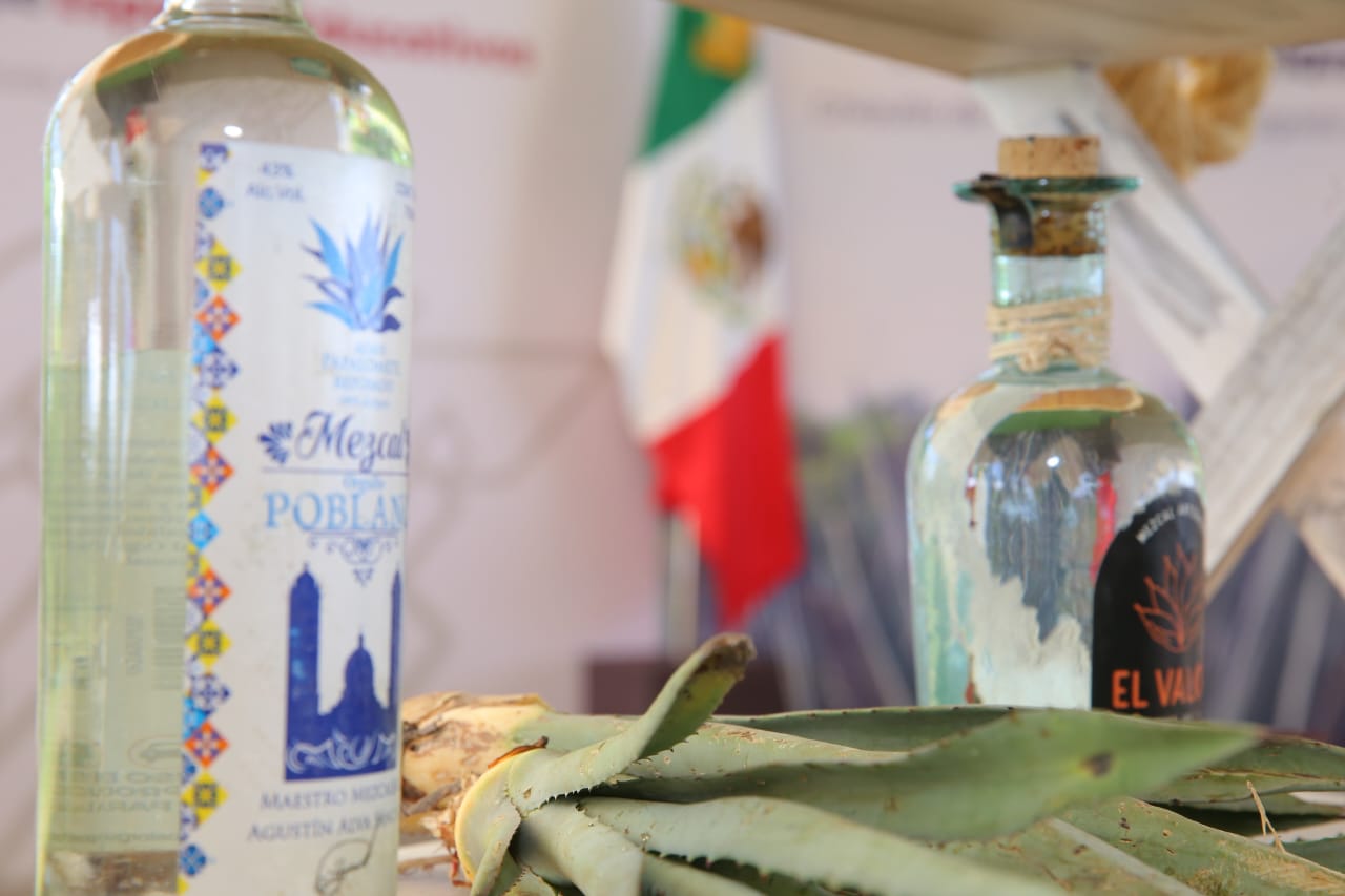 Favorece gobierno de Puebla producción de mezcal y desarrollo económico en Chiautla