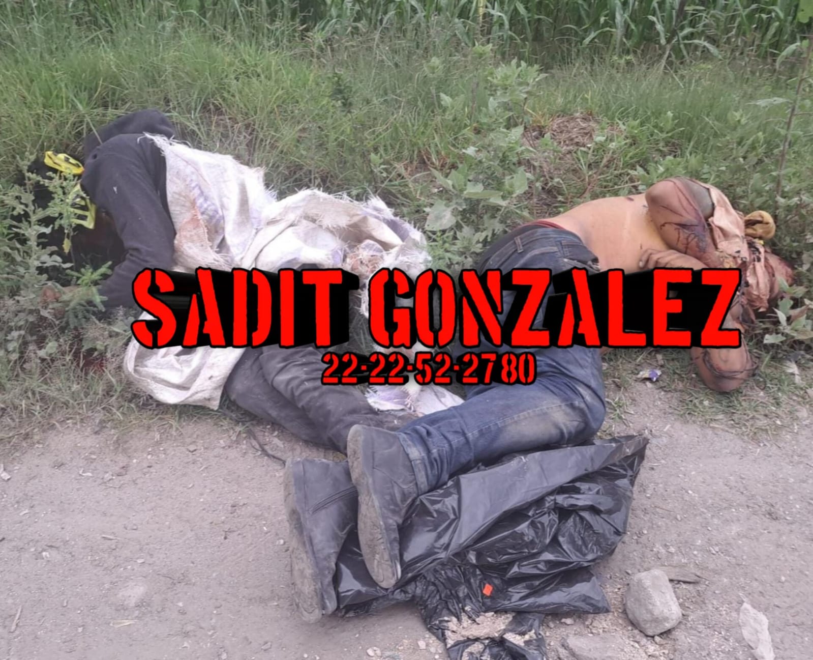 Abandonan cadáveres macheteados en Acajete