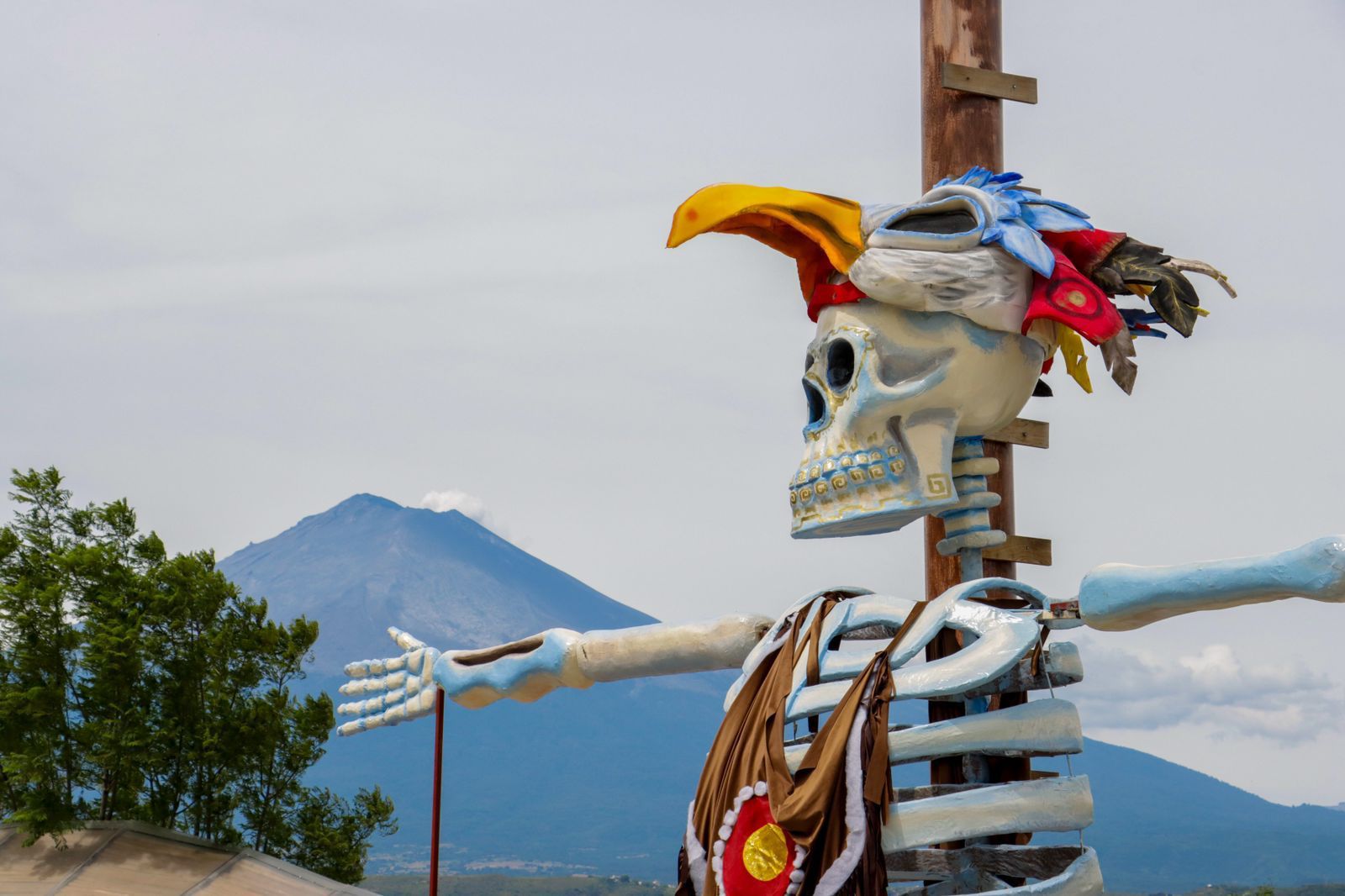 Ya puedes visitar valle de catrinas en Atlixco