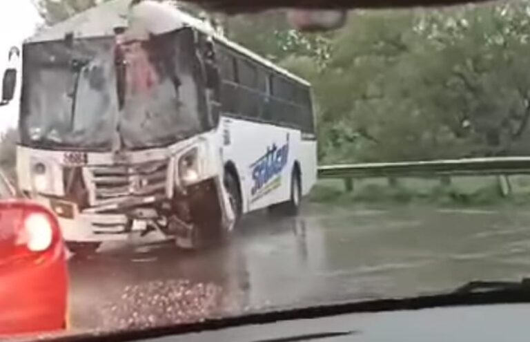 Muere conductor de autobús al impactarse con un muro en la México-Puebla.