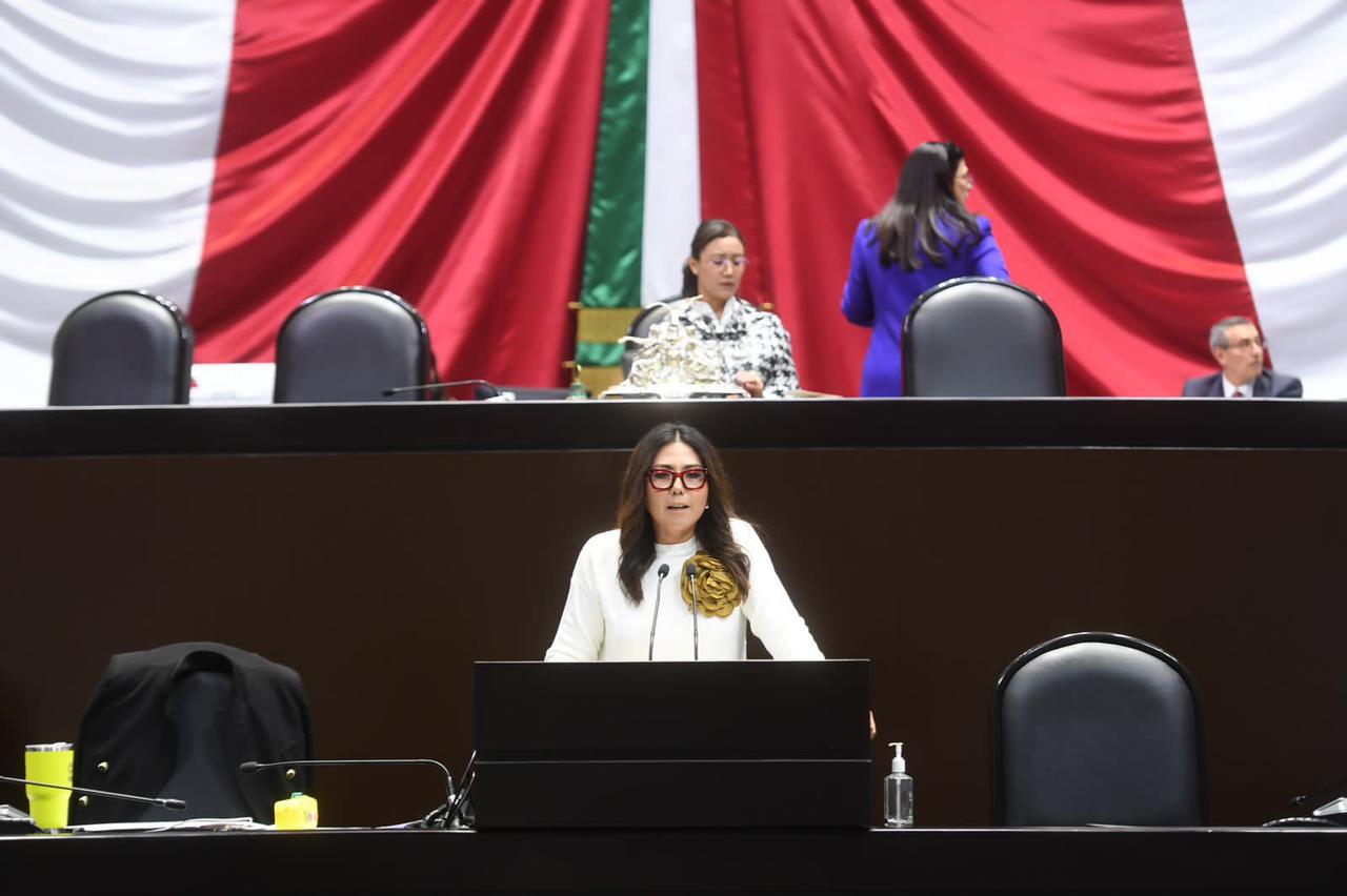 Se aprueba por unanimidad  iniciativa de Genoveva Huerta para garantizar el acceso a la información.