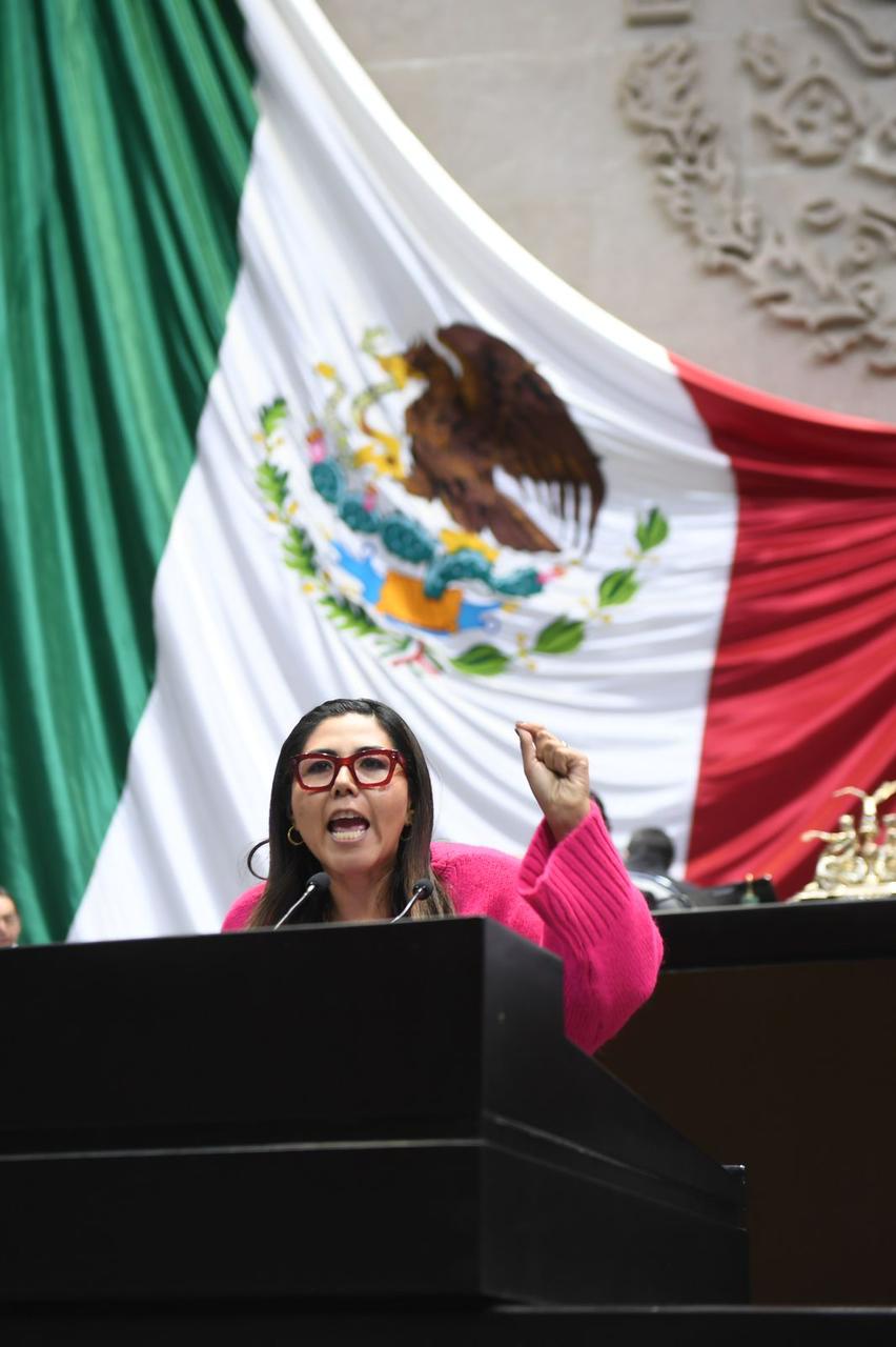 Presupuesto 2024, es el reflejo de la soberbia de AMLO: Genoveva Huerta