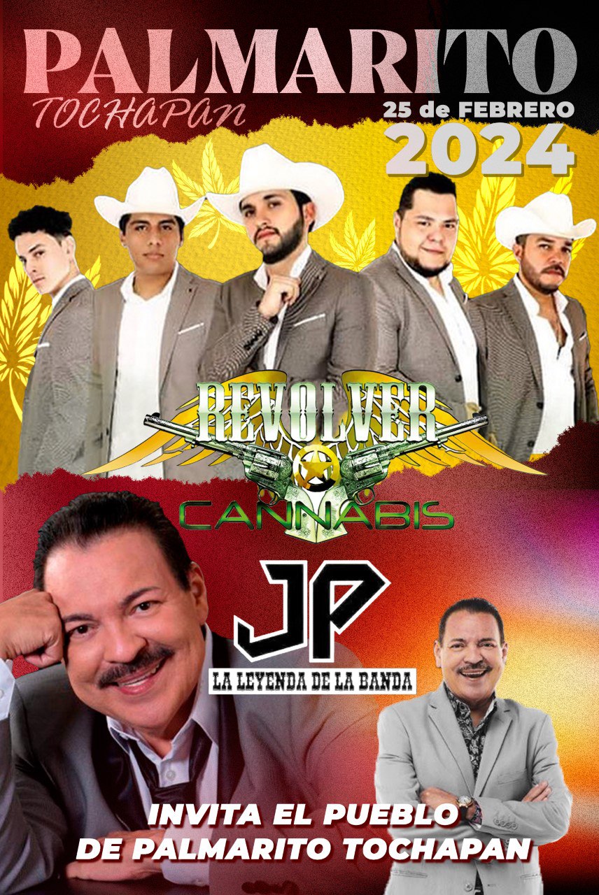 Ven a vivir una Feria inolvidable en Palmarito Tochapan 🌴 en Honor a Jesús de las Maravillas.