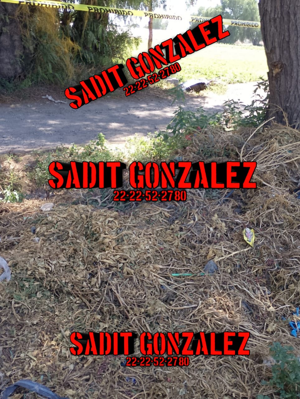 Tiran cadáver de un hombre en campos de cultivo de Huixcolotla.