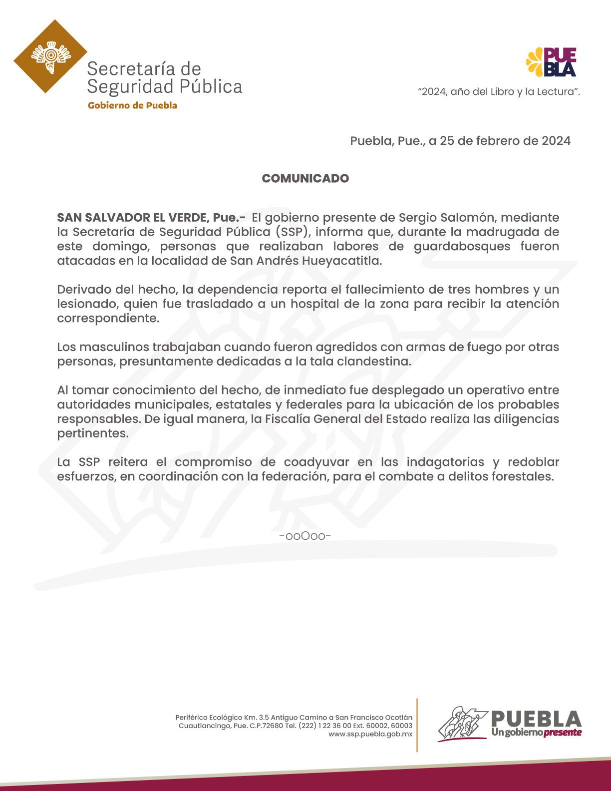 Guardabosques fueron atacados por personas de la tala clandestina