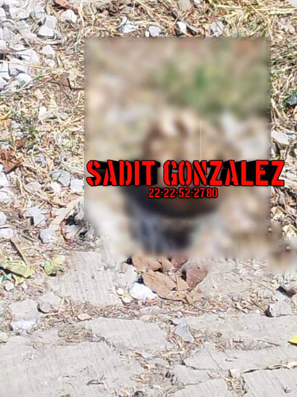 Hallan cráneo humano en Zoquitlán.