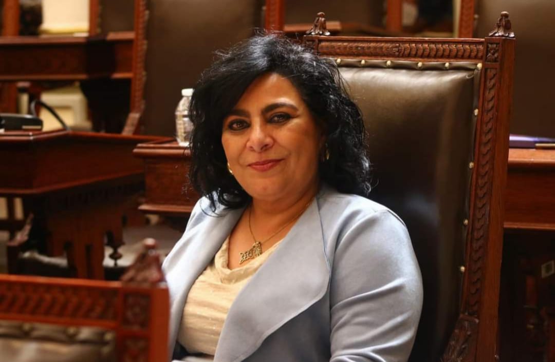 Doble celebración legislativa en San Martín; Lupita Yamak cumple, deudores alimentarios se incluyen en el registro nacional