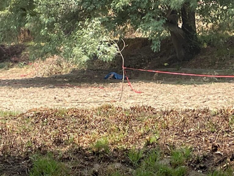 Hallan a mujer sin vida en Huejotzingo.