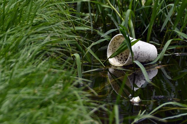 Cólera, dengue, malaria, hepatitis A, zika y chikungunya, enfermedades propias de la temporada de lluvia.