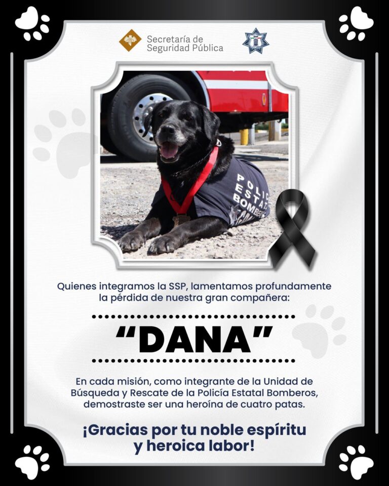 Despide SSP con honor a “Dana”, ejemplar canina de Bomberos