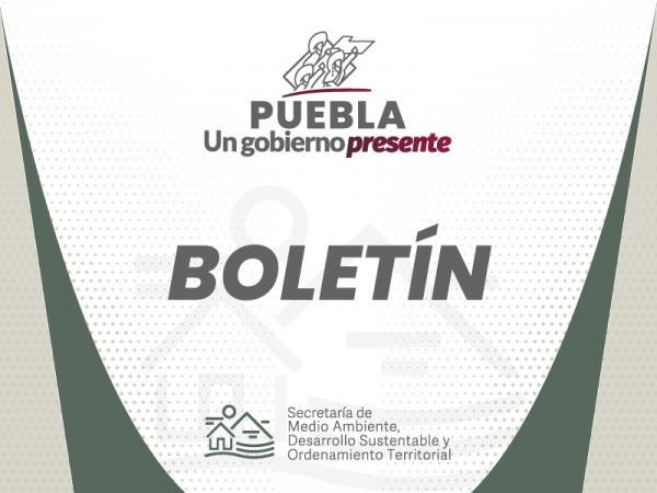 Inicia segundo semestre de verificación vehicular: Medio Ambiente