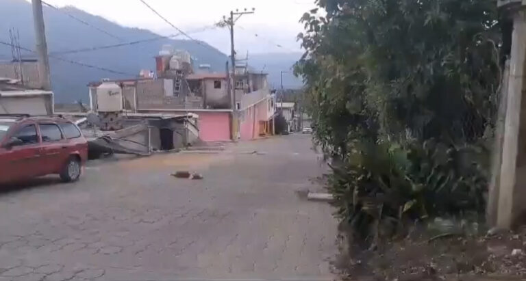 Graban a ebrio que atropella y mata a un perro en Huauchinango.