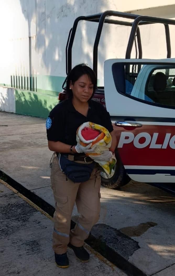 Localizan con vida a recién nacida abandonada en una barranca de Huehuetla.