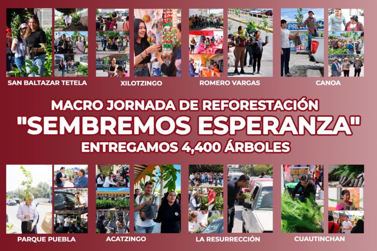 Puebla sostenible con nueva macro jornada de reforestación «Sembremos Esperanza»