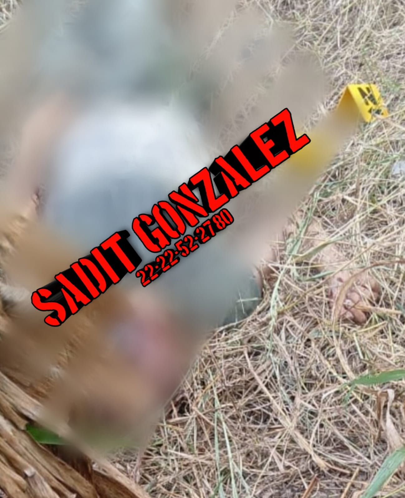 Hallan sin vida a menor de edad dentro de un rancho en Pantepec.