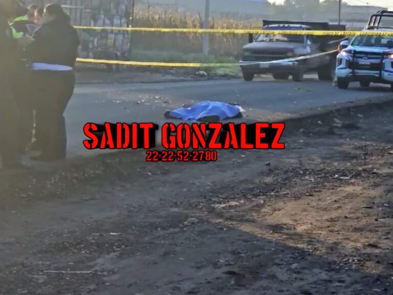 Muere hombre atropellado sobre la carretera a San Miguel Canoa.