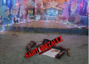 Desmembrado y con narcomensaje dejan cadáver de un hombre en Chiautla de Tapia.