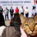 Exitosa Mega Jornada de Esterilización en San Pedro Cholula