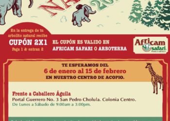 Invita Gobierno de Cholula a participar en la iniciativa «Verde Navidad»