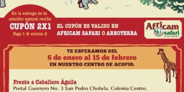 Invita Gobierno de Cholula a participar en la iniciativa «Verde Navidad»