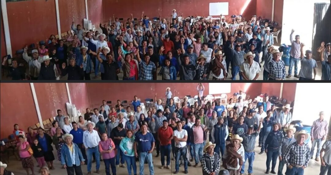 Defensores indígenas de la comunidad Eloxochitlán denunciaron al CONAPA