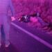 Muere motociclista al ser embestido por un vehículo en Aljojuca.