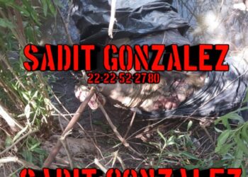 Hallaron restos humanos dentro de bolsas en Yehualtepec.