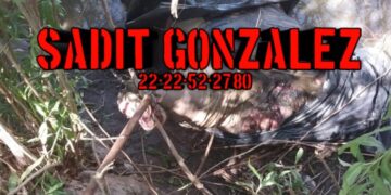 Hallaron restos humanos dentro de bolsas en Yehualtepec.