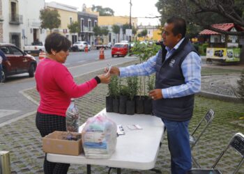 Últimos días de «Verde Navidad» y «Reciclatón» en San Pedro Cholula