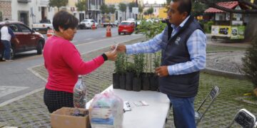 Últimos días de «Verde Navidad» y «Reciclatón» en San Pedro Cholula