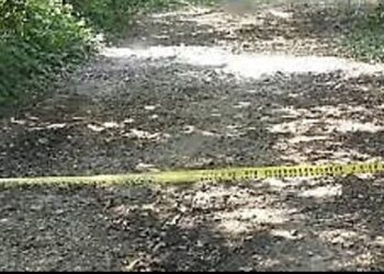 Cinco femenicidios han ocurrido en la Sierra Norte y hasta el momento ninguno de estos han esclarecido las autoridades.