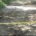 Cinco femenicidios han ocurrido en la Sierra Norte y hasta el momento ninguno de estos han esclarecido las autoridades.