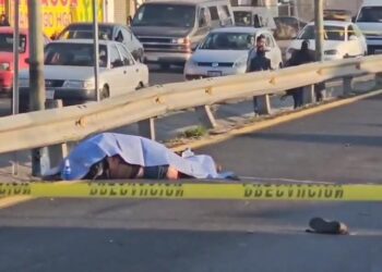 Una mujer perdió la vida tras ser atropellada por el conductor de una patrulla de seguridad privada