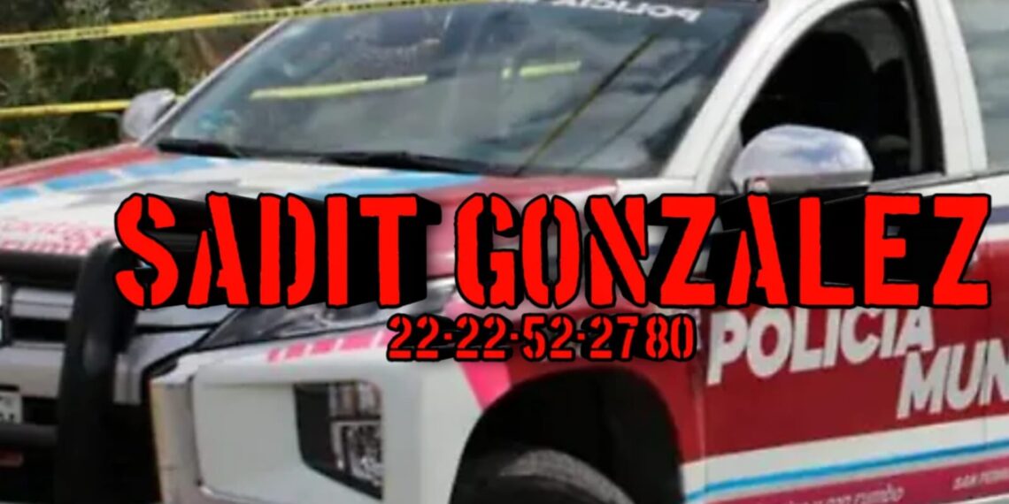 Muere hombre de la tercera edad al caerle un árbol en Tlaxco.