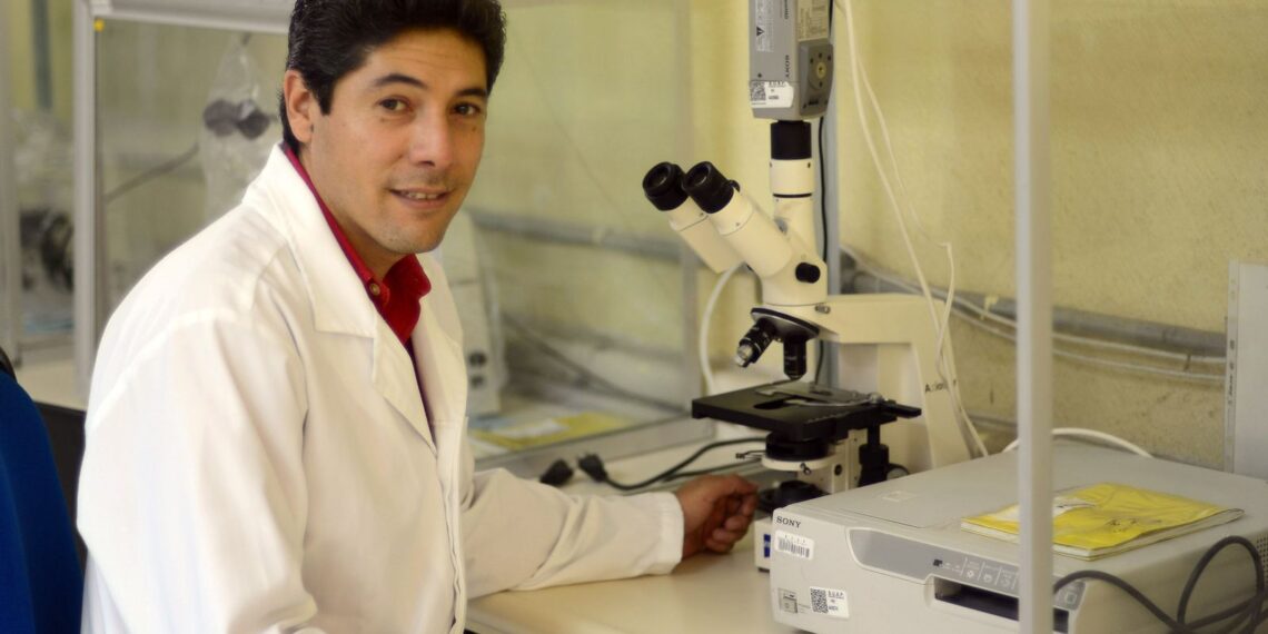 Investigador del Instituto de Fisiología estudia el síndrome metabólico desde sus cambios bioquímicos