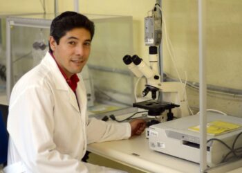 Investigador del Instituto de Fisiología estudia el síndrome metabólico desde sus cambios bioquímicos