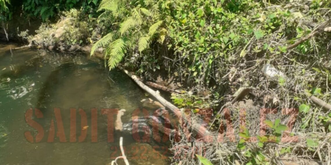 Hallaron cadáver flotando en el río del Progreso en Hueytamalco.