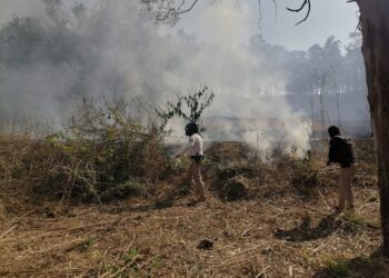 Policía Montada refuerza vigilancia y combate incendios en el Cerro Zapotecas