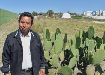 Estudian organismos del suelo para mejorar la producción agroecológica