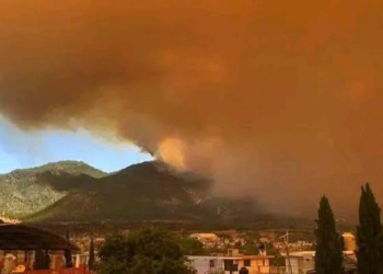Incendio forestal en Libres y Atltzayanca dejó más de 20 hectáreas afectadas